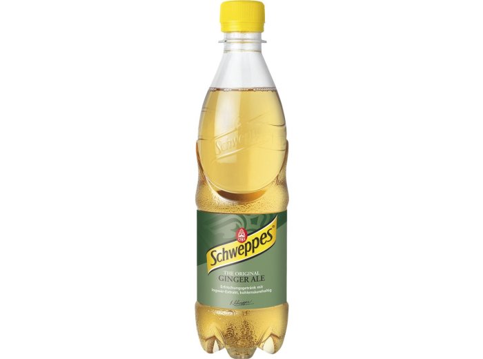 Schweppes Ginger Ale PET EW 100cl x6