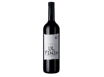 Merlot Rosso della Svizzera , Italiana IGT Ul Pinin 50cl x6