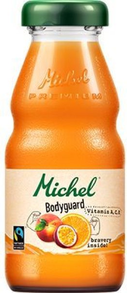 Michel Bodyguard EW 20cl 24x