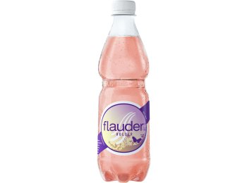GOBA Flauder Holunder PET EW * 50cl x24
