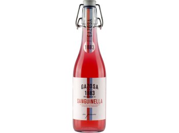 Gazosa 1883 Sanguinella MW 35cl x20