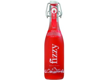Gazosa Fizzy Himbeer MW 35cl x20