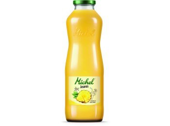 Michel Ananas MW 100cl x6