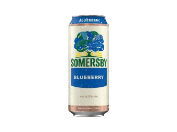 Somersby Blueberry Dosen EW, Six Pack 50cl x24