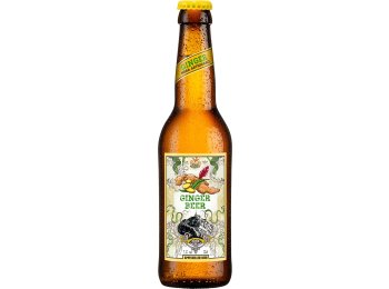 Appenzeller Ginger Beer EW 6er 33cl x24