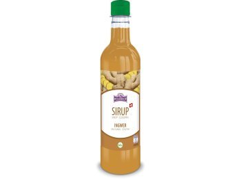 Ingwer Bio Sirup, PET EW Holderhof 50cl x6