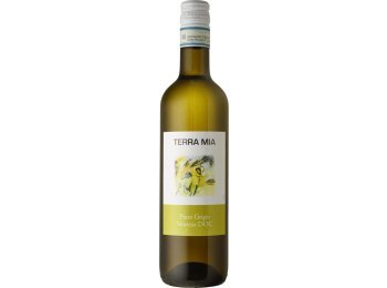 Pinot Grigio Venezia DOC, Ca'Livenza 50cl x15